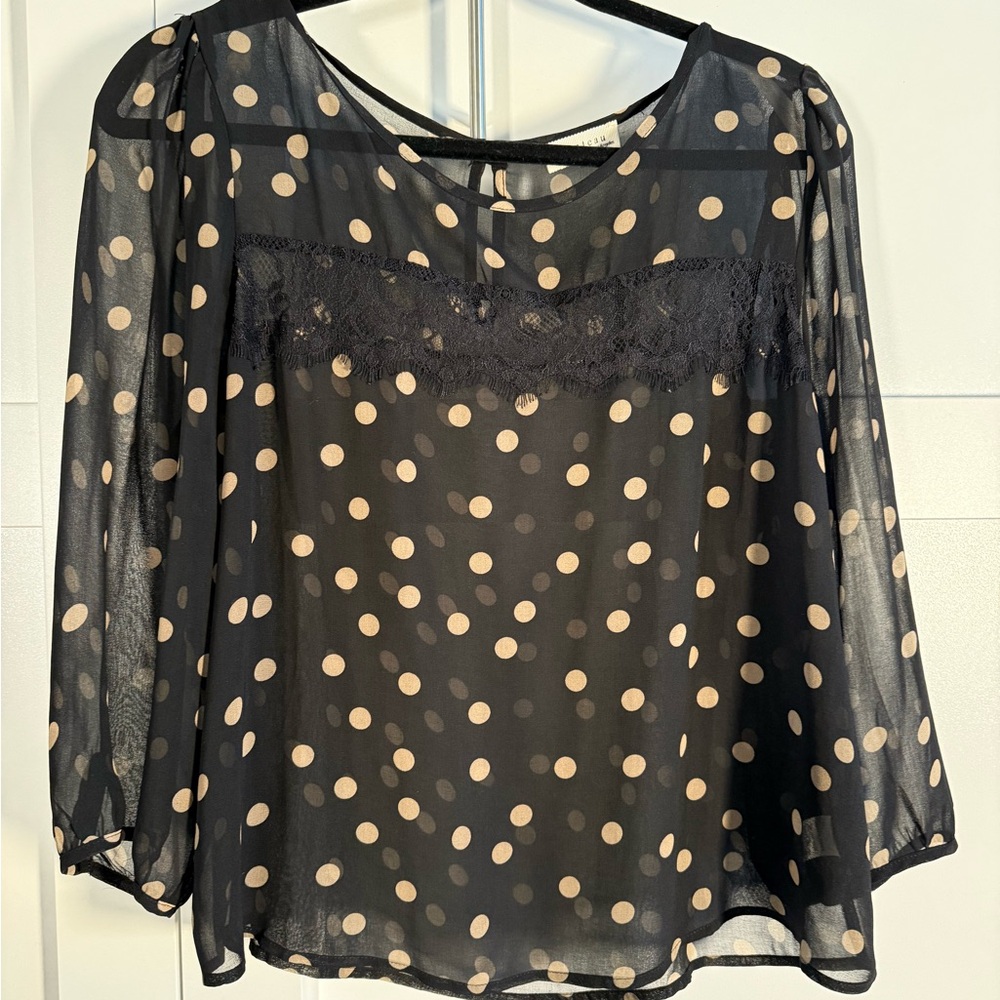 Monteau Black Sheer Blouse with Cream Polka Dots